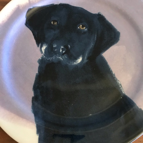 Anthropologie/SallyMuirDog-A-Day Plates - Red - Picture 7 of 14